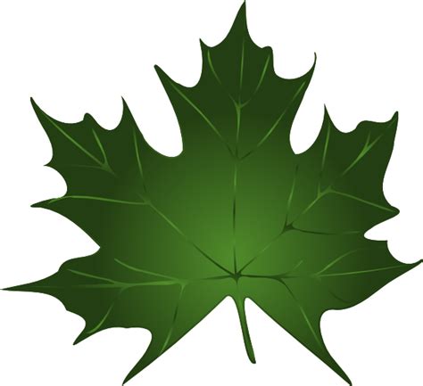 Free Green Leaf Clipart, Download Free Green Leaf Clipart png images, Free ClipArts on Clipart ...