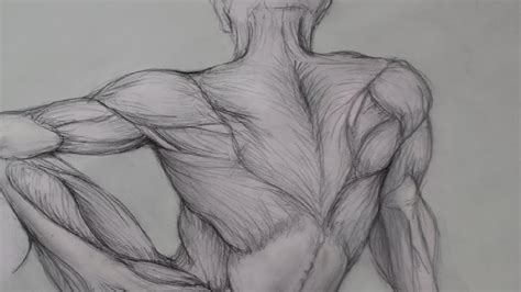 Figure Drawing Lessons 6/8 - Anatomy Drawing For Artists - Drawing Human Anatomy - YouTube