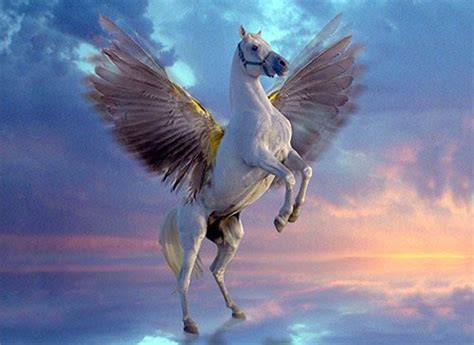 Pegasus, the winged horse in Greek Mythology