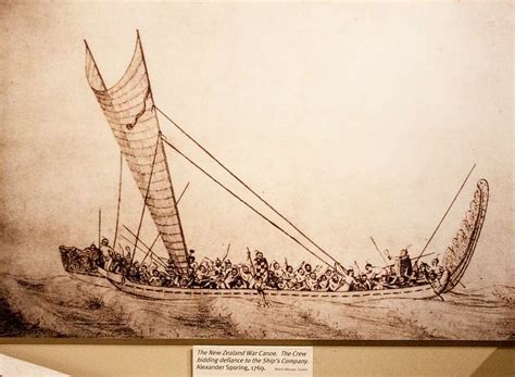 Maori war canoe, drawing by Alexander Sporing - PICRYL Public Domain Search