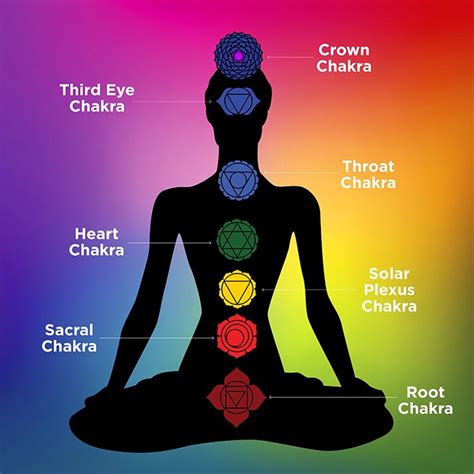 Chakras and the Channels of Energy | Vinyasa Yoga Academy