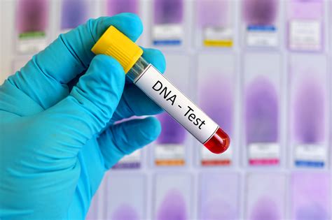 The Best DNA Testing kits To Learn About Health, Ancestry