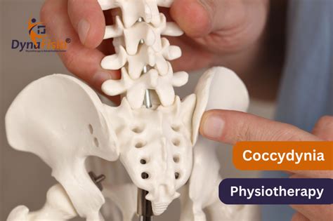 Coccydynia: Physiotherapy For Tailbone Pain Treatment In Gurgaon