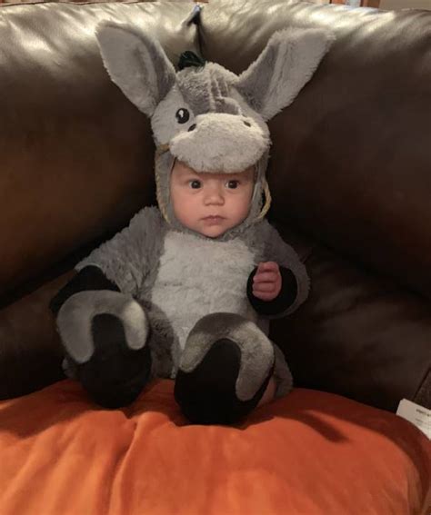 Donkey Costume for Infants