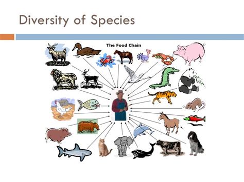 PPT - DIVERSITY OF LIVING THINGS PowerPoint Presentation - ID:2002832