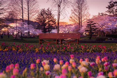 Amazing Japanese Landscape Photography – Native Ken Eyewear