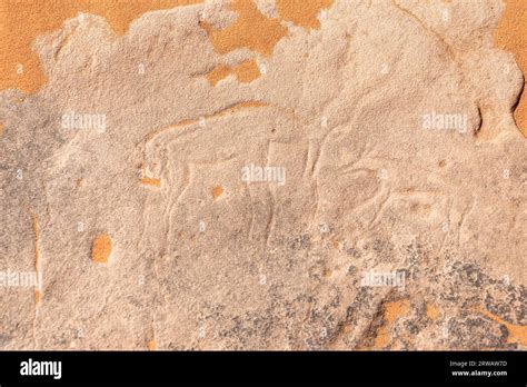 rock art in the sahara desert Stock Photo - Alamy