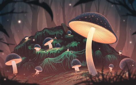 Mushroom Wallpaper - KoLPaPer - Awesome Free HD Wallpapers