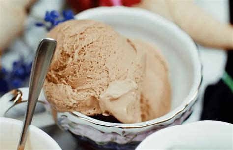 13 Popular Coffee Ice Cream Brands | Brand Informers