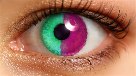 8 rarest eye colors in humans – Artofit