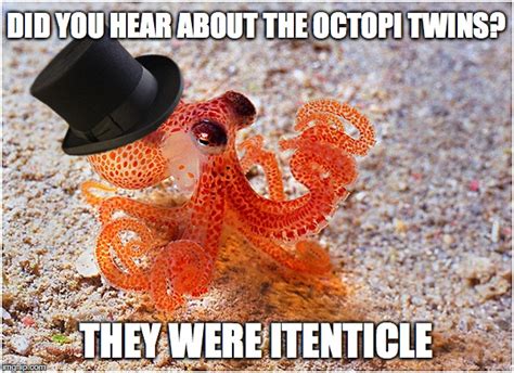 Sir octopus Memes - Imgflip