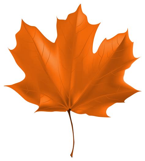 Free Leaf Png, Download Free Leaf Png png images, Free ClipArts on Clipart Library