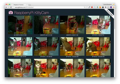 KittyCam - Building a Raspberry Pi Camera with Cat Face Detection in Node.js – GirlieMac! Blog