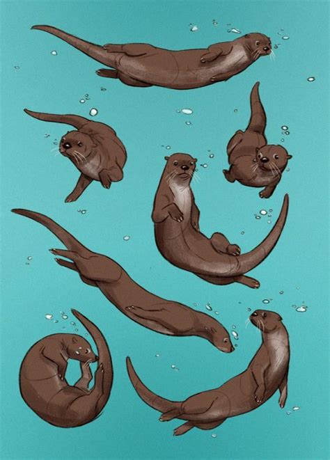 River Otter Drawing