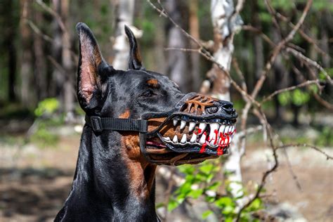 Pet Gift Werewolf Dog muzzle Scary Doberman muzzles Custom | Etsy