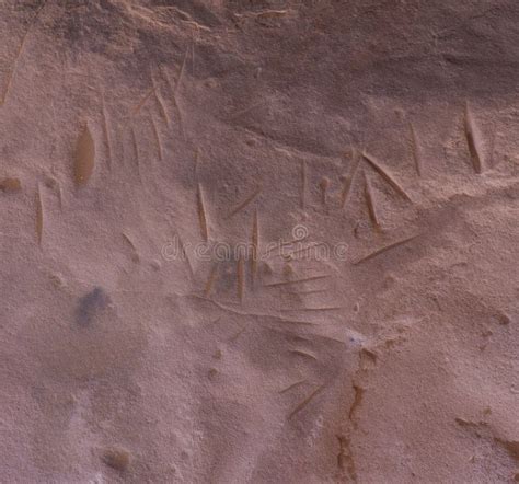 Ancient Rock Art in Sahara Desert Stock Photo - Image of history, archeology: 169637418