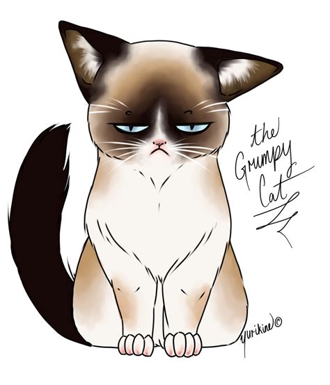 Grumpy Cat by Yurikine on DeviantArt