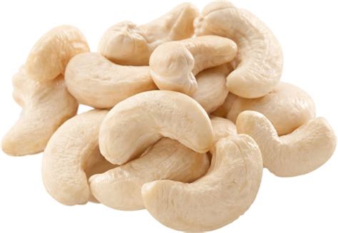 Cashew Kernels | Agritradex Commodity Services DMCC