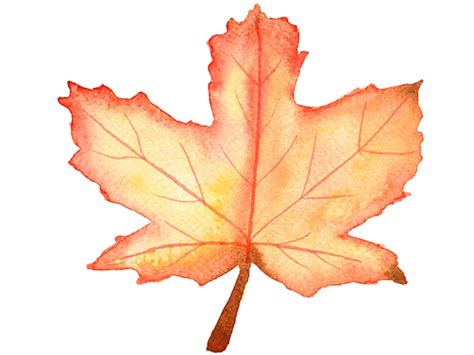 How to Paint an Autumn Leaf in Watercolour | Emily Wassell