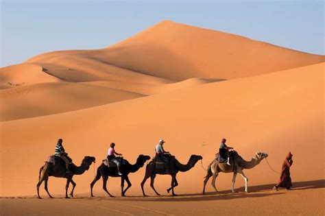 Ancient Egypt Sahara Desert: Best Uncovering Of The Wonders Of The Sahara Desert | EZ TOUR EGYPT