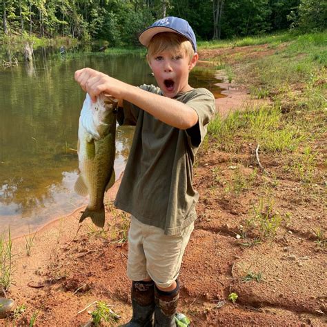 Learning soft plastics for bass fishing - Carolina Sportsman