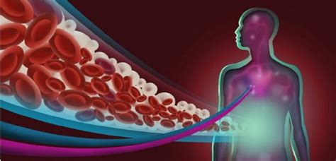 What is a lipid? - WhatMaster