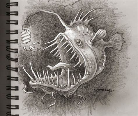 Angler fish drawing, Fish drawings, Angler fish tattoo