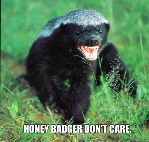 Honey Badger memes | quickmeme