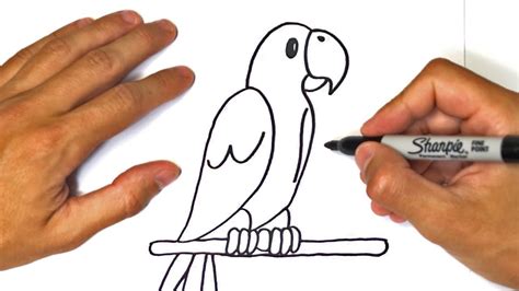 How to draw a Parrot for kids | Parrot Easy Draw Tutorial