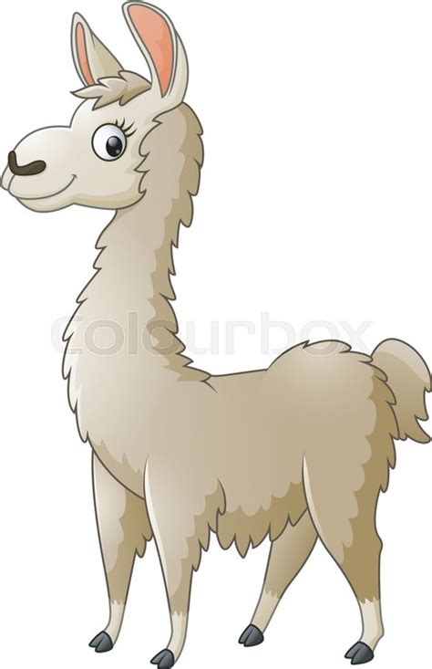 Vector illustration of Llama cartoon | Stock vector | Colourbox