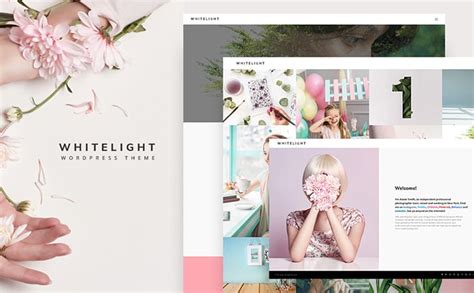 20 Professional WordPress Templates for Photographers -DesignBump