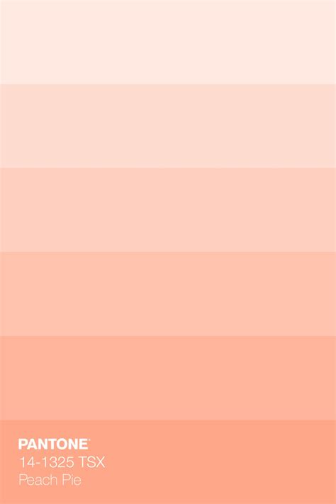 Peach Color Palettes Pantone Colour Palettes Pastel Colour Palette Wedding Color ...