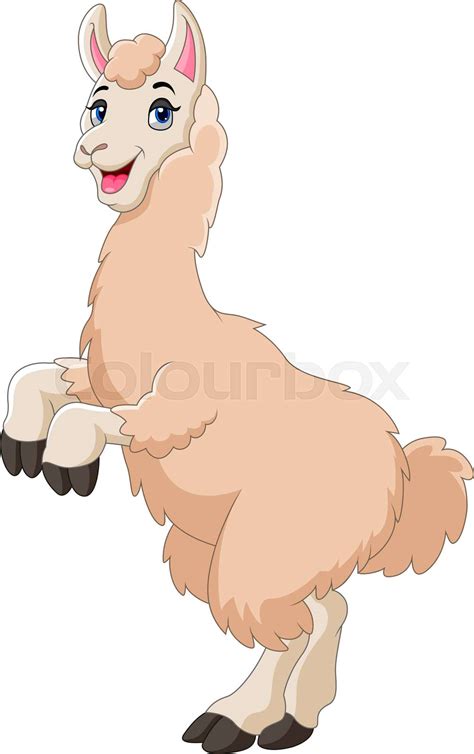 A Cute cartoon llama happy | Stock vector | Colourbox