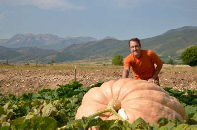 Competition Atlantic Giant Pumpkin Seeds