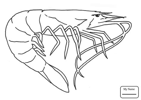 Krill Pages Coloring Pages