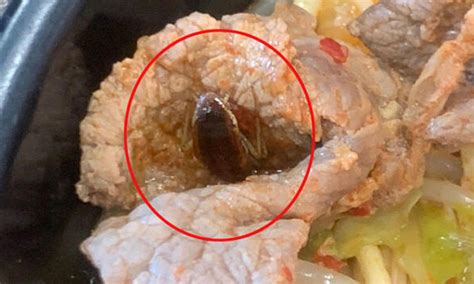 Manager admits restaurant was negligent after diner bites into cockroach during meal