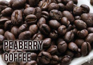 Best Peaberry Coffee Beans (They Cost More, But Taste Better) | KitchenSanity