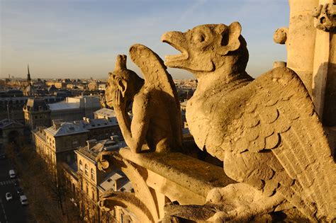 What Is The Meaning Of The Gargoyles On Notre Dame at Vera Grieve blog