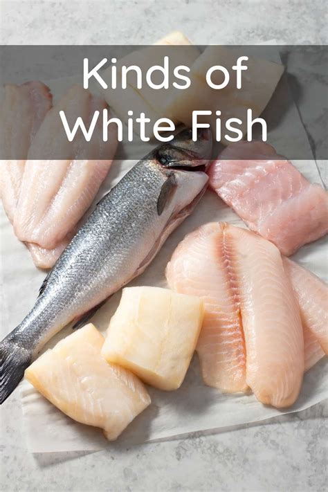 Kinds of White Fish - Differences and Substitutions - TheCookful