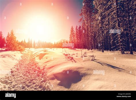 Winter landscape with setting sun Stock Photo - Alamy