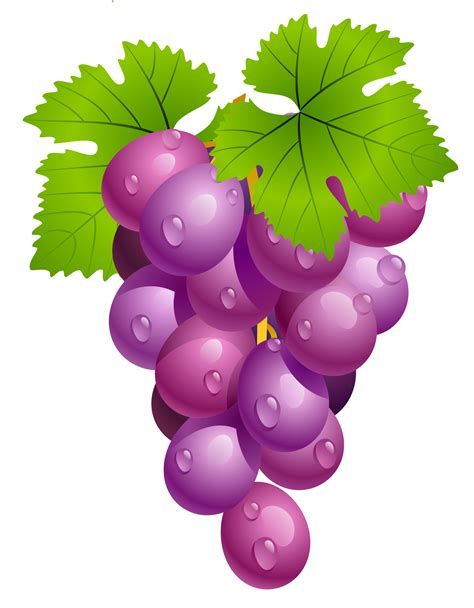 Grapes Clipart Pictures – Clipartix