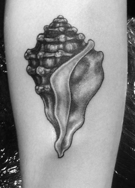 Conch Shell by Melody Mitchell: TattooNOW