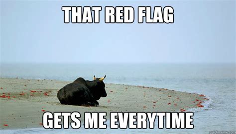 That red flag gets me everytime - Misunderstood Bull - quickmeme