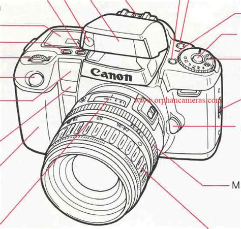 Canon EOS 100 instruction manual, user manual