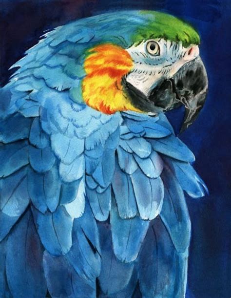 Macaw Parrot Art Print of My Watercolor Painting Mac - Etsy