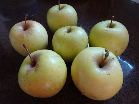 Golden Delicious Apples | SBA's Kitchen @ Home