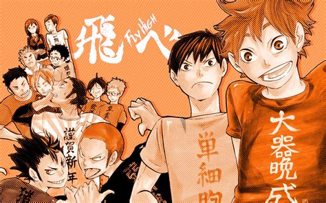 Karasuno Aesthetic Haikyuu Laptop Wallpaper | Images and Photos finder