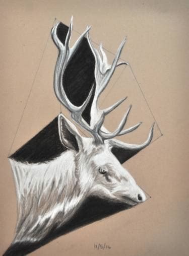 Elk Antler Drawing at PaintingValley.com | Explore collection of Elk ...