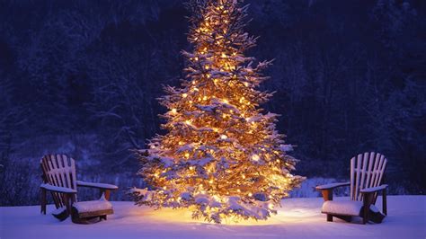 🔥 [40+] Christmas Tree Snow Wallpapers | WallpaperSafari