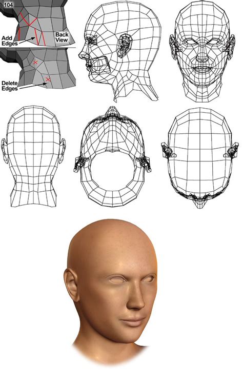 Modeling a Female Head tutorial | 3d face model, Character modeling, Tutorial